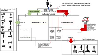 Children's Hospital Management in the COVID-19 Era: The Reorganization of a Tertiary <mark class="highlighted">Care Pediatric</mark> Emergency Department in Northern Italy